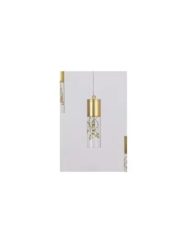Floresta Pendule  - 4