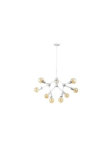 Malik Pendule - 1