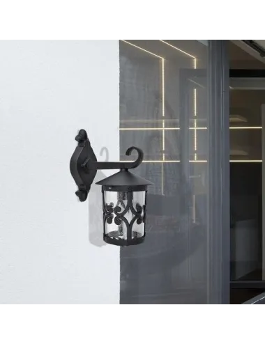 Palma Aplice exterior  - 3