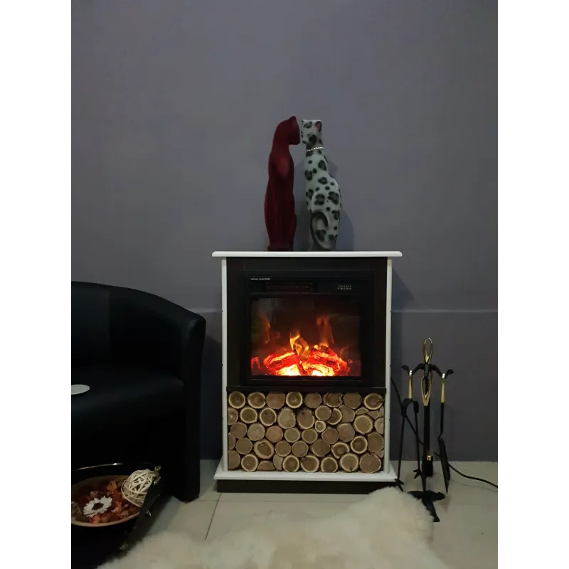 Semineu electric Andreea & Dionis  - 6