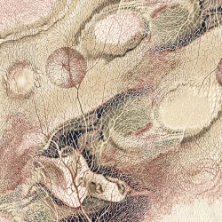 Covor lana Bellona Natur patrat - 1