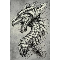 Covor Kolibri Dragon 11611 - 1
