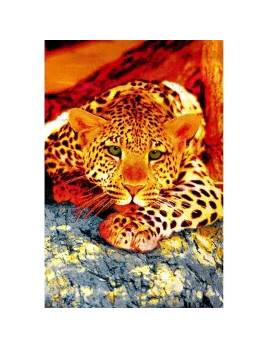 Covor Kolibri 11123-120 Leopard Multicolor - 1