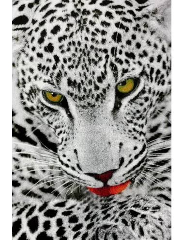 Covor Kolbri 11122-190 Leopard alb - 1
