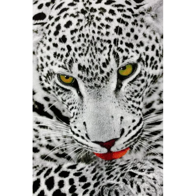 Covor Kolbri 11122-190 Leopard alb  - 1