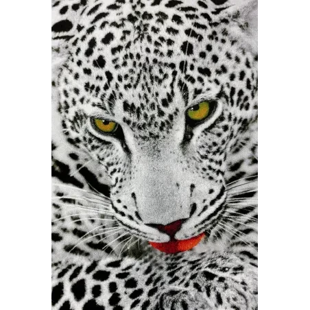 Covor Kolbri 11122-190 Leopard alb  - 1