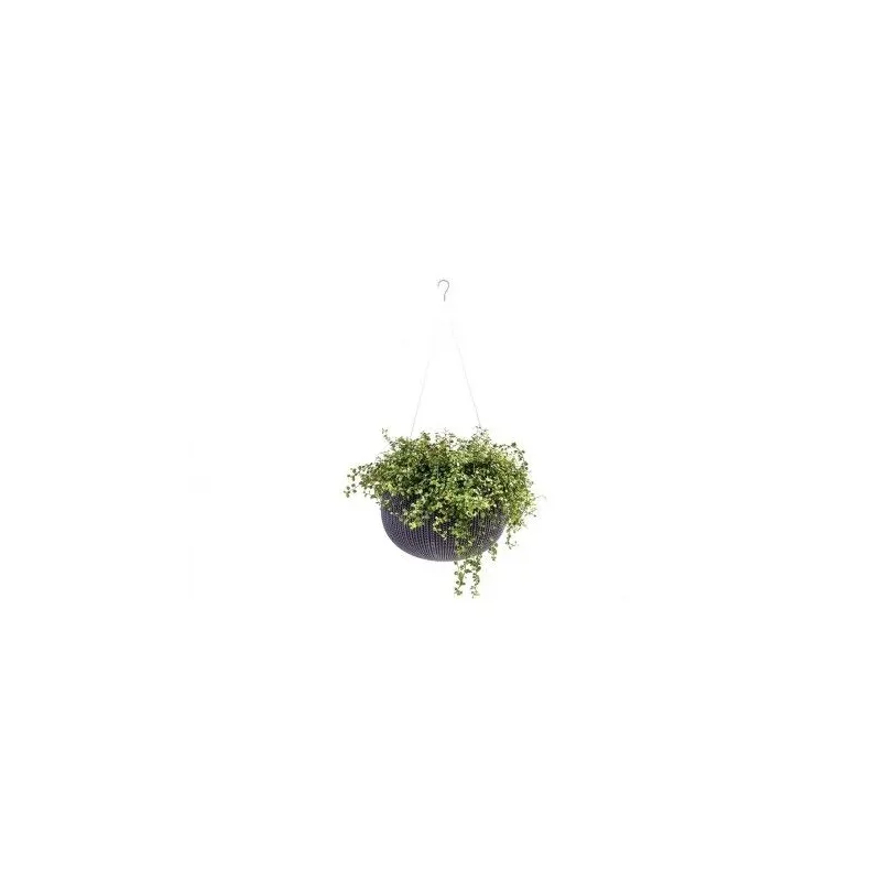 Ghiveci pentru flori, rotund, maro, suspendabil  - 3