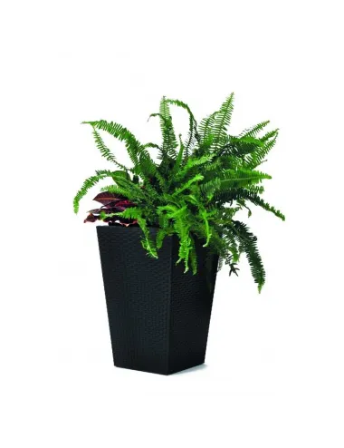Ghiveci pentru flori, dreptunghiular, antracit - 3