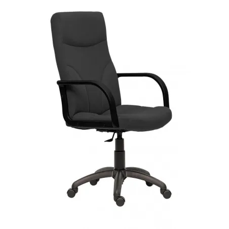 Scaun directorial Riva gri  - 1